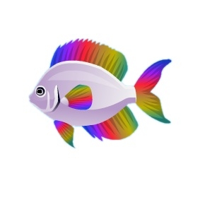 Technicolor Fin Fish